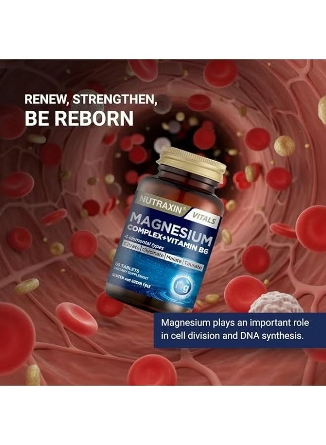 Nutraxin Magnesium Complex – Citrate, Glycinate, Malate, Taurate Blend – 60 Tablets - Image 5